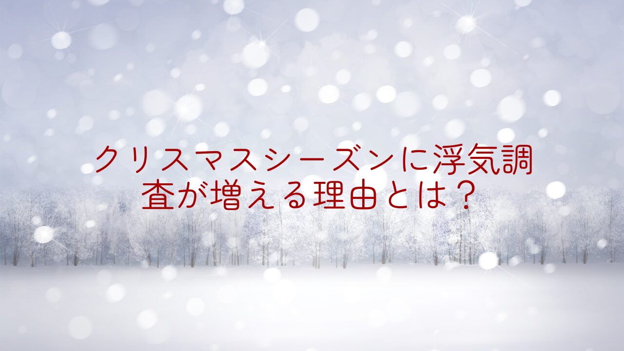 クリスマス　浮気調査